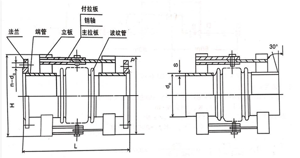 橡膠膨脹節(jié)現(xiàn)貨